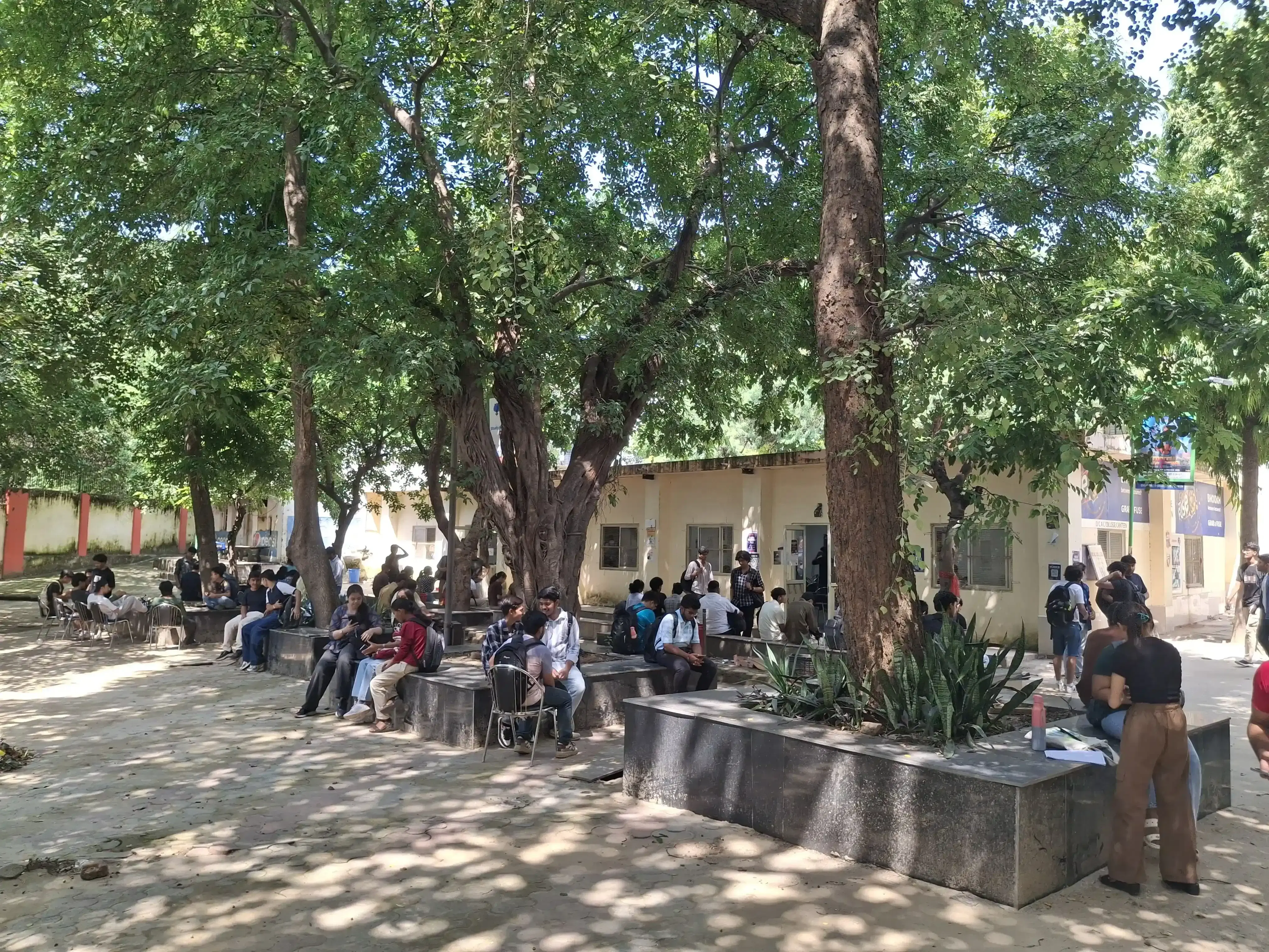 Delhi College of Arts and Commerce Academic Infrastructure photo 12